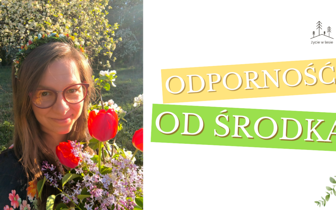 Jak zrobić nalewkę z dziurawca? Naturalny sposób na poprawę nastroju i jesienną chandrę