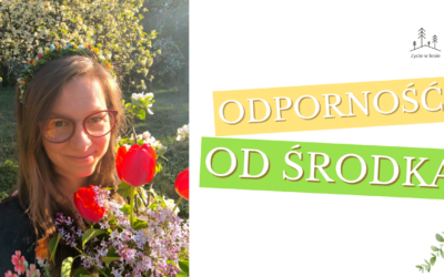 Jak zrobić nalewkę z dziurawca? Naturalny sposób na poprawę nastroju i jesienną chandrę